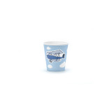 pack-anniversaire-avion