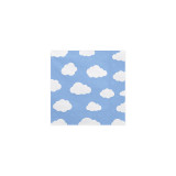 pack-anniversaire-avion