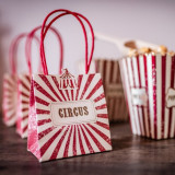 sac cadeau circus party x4