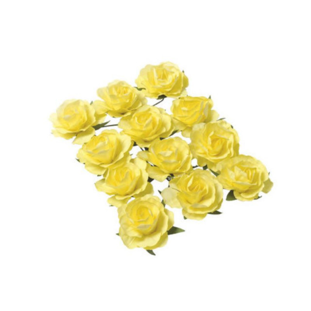 jaune-rose-fleur