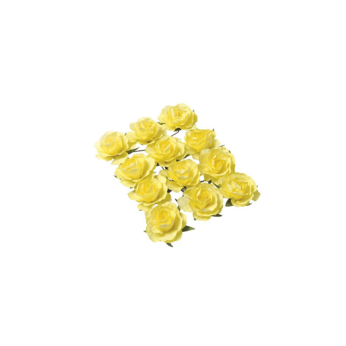 jaune-rose-fleur