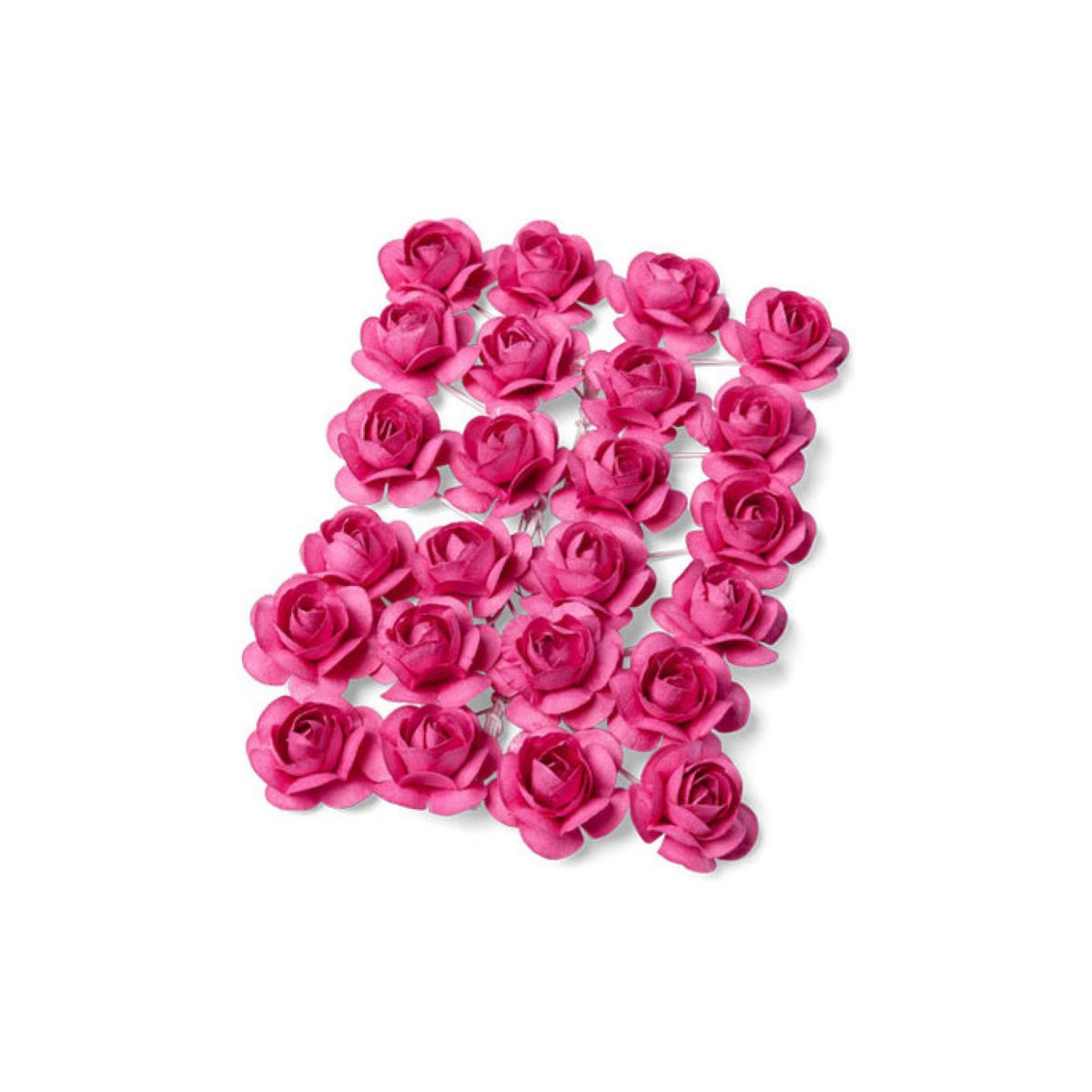 fuschia 24 petite roses