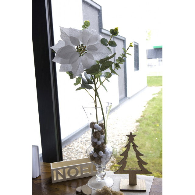 Fleur de poinsettia en velours blanc