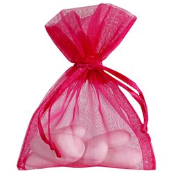 Sachet Dragées Fuchsia x10