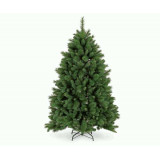 Sapin 1m80 - 762 branches
