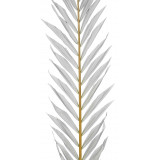Feuilles de palmier cycas séchées