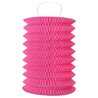 Lampion Accordeon Fuchsia x2