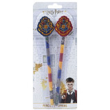 Crayon + gomme Harry Potter