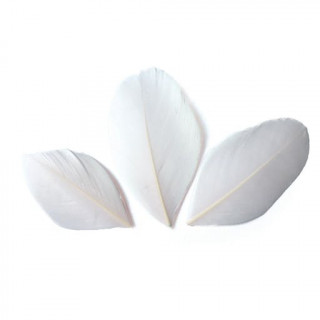 Plumes coupées blanc 6 cm sachet 3 gr