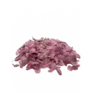 Plumes de Guinée rose 30 gr