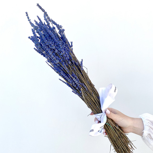 Bouquet de lavande stabilisé