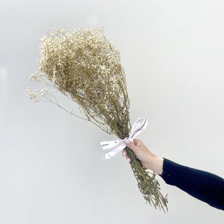 Bouquet de gypsophile stabilisé