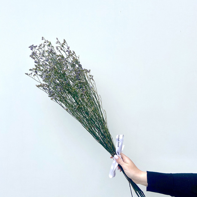 Bouquet de gypsophile stabilisé