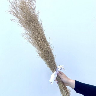 Bouquet de munni séchés