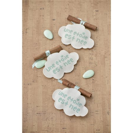 4x Sachet Dragées Etoile est Née - Menthe