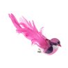 2 x Oiseau Fuchsia sur Pince
