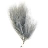 Plume de couleur - Gris