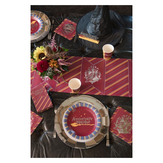 Assiettes d'anniversaire Harry Potter