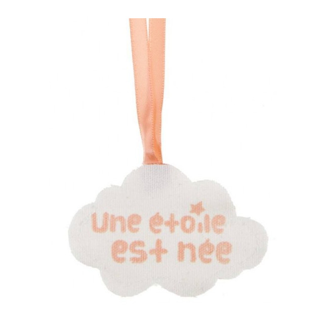 4x Sachet Dragées Etoile Est Née - Corail