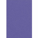 Nappe en Plastique Rectangulaire Violet
