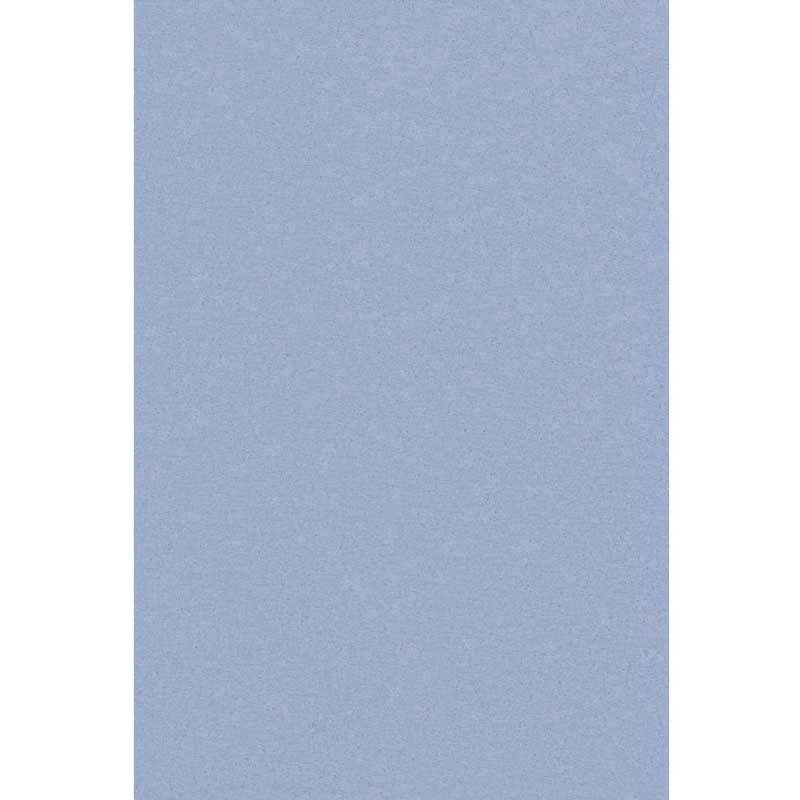 Nappe en Plastique Rectangulaire Bleu Pastel