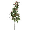 Branche de houx