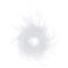 Couronne Plume
