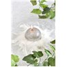 Couronne Plume