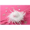 Couronne Plume