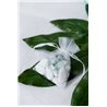 Sachet dragées With Love Vert x 10