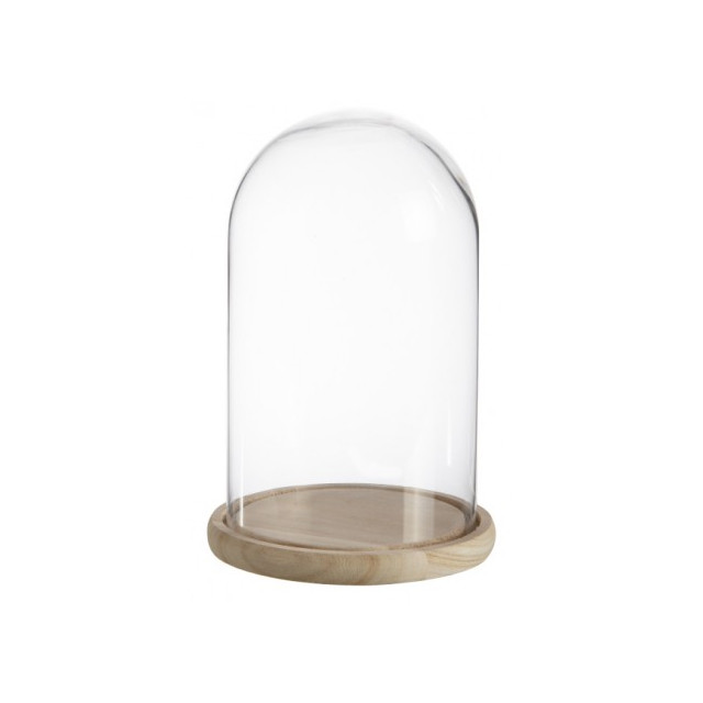 cloche-verre-21.5