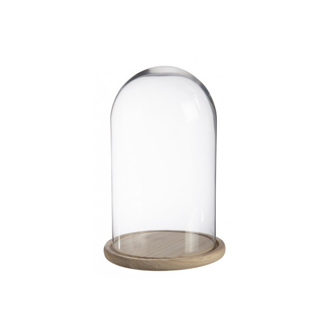 cloche-en-verre-26.5-17cm