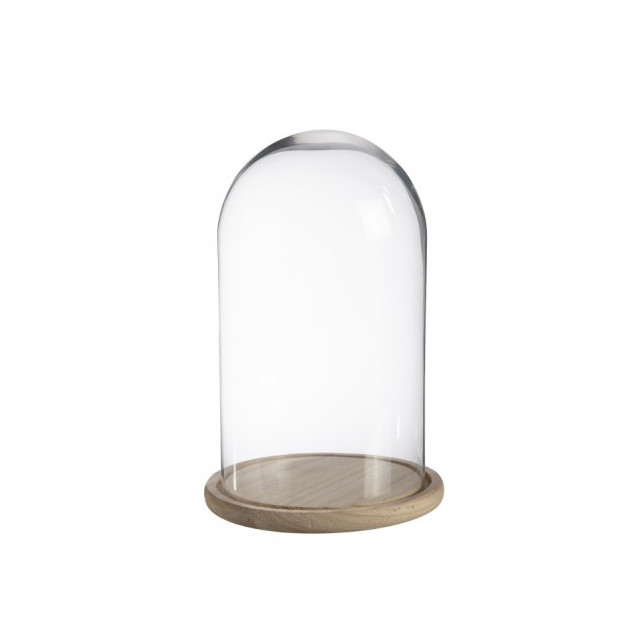 cloche-en-verre-26.5-17cm