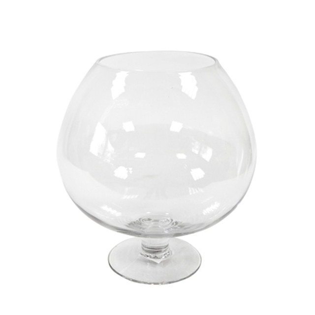 Coupe Cognac en verre