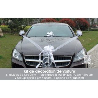 Kit Déco voiture Mariage Tulle