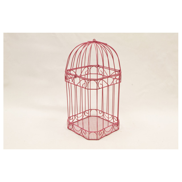 Cage carte de voeux fuchsia