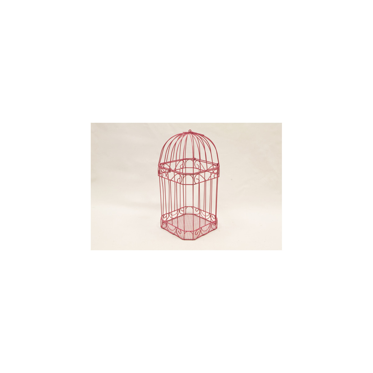 Cage carte de voeux fuchsia