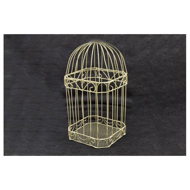 Cage carte de voeux ivoire