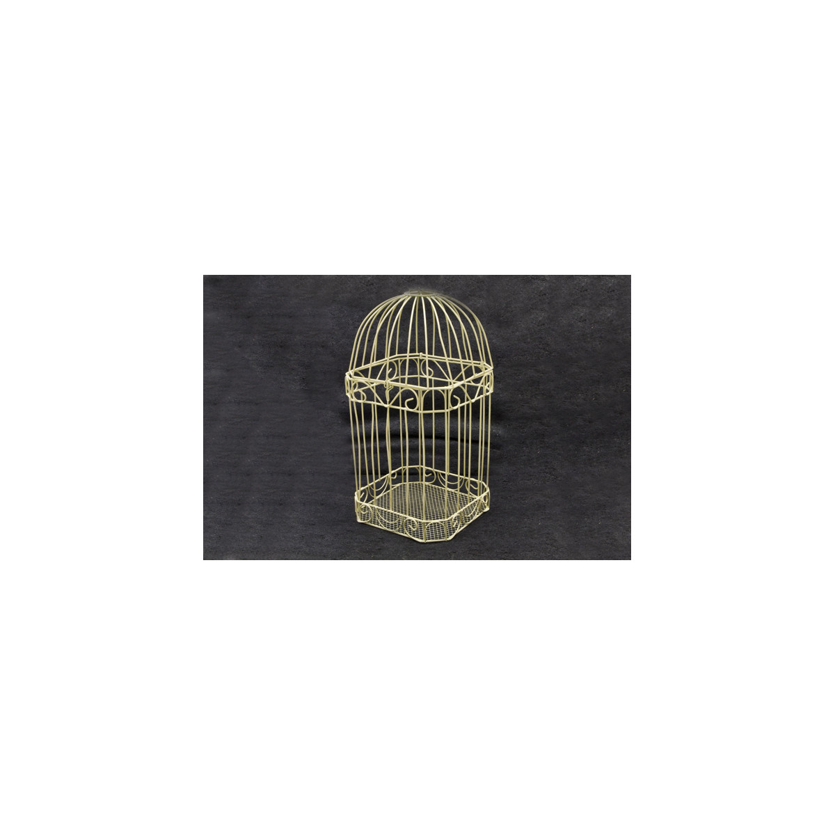 Cage carte de voeux ivoire