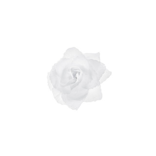 Rose blanche adhésive