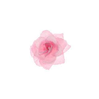 Fleur adhésive rose